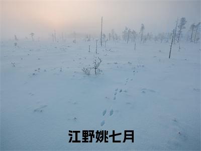 江野姚七月(姚七月江野)新上热文小说全文免费阅读-小说(姚七月江野)完整版阅读