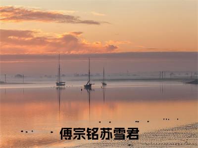 傅宗铭苏雪君全文免费阅读无弹窗大结局_（苏雪君傅宗铭完结）傅宗铭苏雪君小说最新章节列表