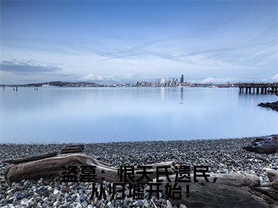 盗墓：恨天氏遗民，从归墟开始！（苏晨）全文免费阅读_盗墓：恨天氏遗民，从归墟开始！最新章节小说免费阅读_笔趣阁