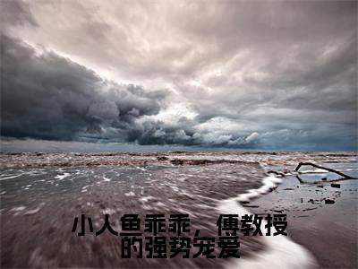 小人鱼乖乖，傅教授的强势宠爱全文免费阅读大结局_小人鱼乖乖，傅教授的强势宠爱（伽浅傅严琛）最新章节列表