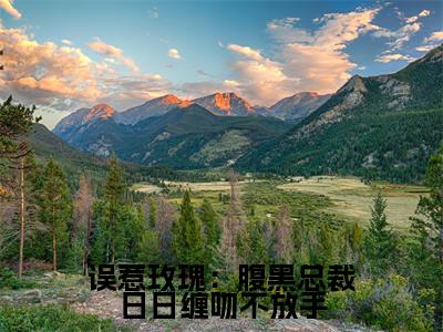 【完整版】(误惹玫瑰:腹黑总裁日日缠吻不放手小说裴寒越岑影)精彩小说全本资源免费阅读结局无删节_裴寒越岑影全章节阅读