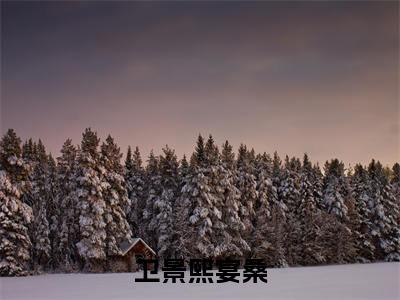 卫景熙宴桑小说免费阅读(宴桑卫景熙)全文免费阅读大结局-(卫景熙宴桑小说免费阅读)好书推荐