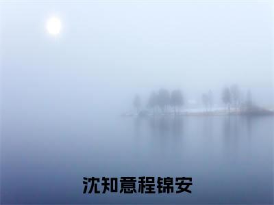 沈知意程锦安小说免费阅读无弹窗-沈知意程锦安（程锦安沈知意）小说免费阅读无弹窗大结局
