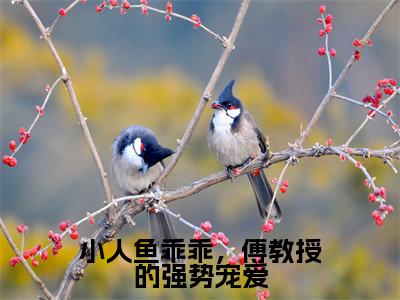 小人鱼乖乖，傅教授的强势宠爱正版小说最新章节在线阅读-小说伽浅傅严琛小人鱼乖乖，傅教授的强势宠爱已完结全集大结局