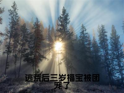 （逃荒后三岁福宝被团宠了）全网热搜是什么小说_逃荒后三岁福宝被团宠了小说（叶晴天）热门章节阅读无弹窗_笔趣阁（叶晴天）