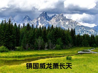 萧长天(镇国威龙萧长天小说)全文免费阅读无弹窗大结局_镇国威龙萧长天小说最新章节列表