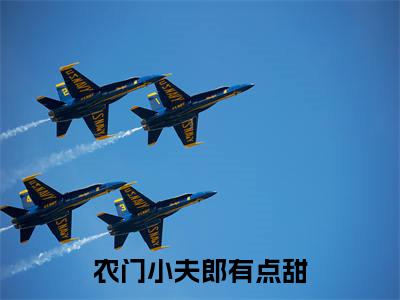 农门小夫郎有点甜（罗穗穗）最新免费小说-罗穗穗（农门小夫郎有点甜）全文全章节免费阅读