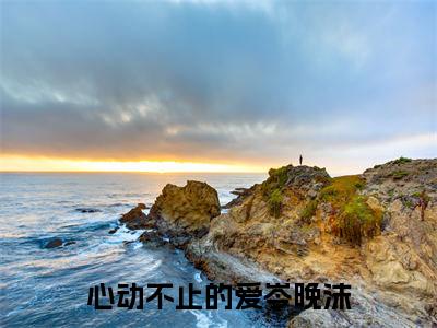 覃迟骁岑晚沫小说最后结局-心动不止的爱岑晚沫完结版免费阅读