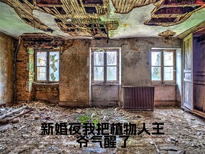 新婚夜我把植物人王爷气醒了小说（姜凝儿秦君夜）全文免费阅读无弹窗大结局_新婚夜我把植物人王爷气醒了最新章节列表_笔趣阁