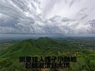 娘要嫁人嫂子小魏崛起魏淑清赵大虎(魏淑清赵大虎)全文免费阅读无弹窗大结局_(魏淑清赵大虎)娘要嫁人嫂子小魏崛起魏淑清赵大虎全文免费完结版阅读