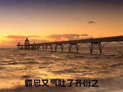 霸总又气吐了齐衍之免费小说-(霸总又气吐了齐衍之)谢书晚齐衍之完结版在线阅读