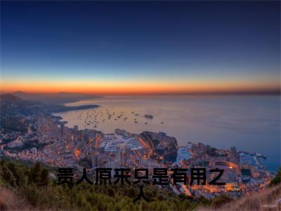 白璃卫长庚(贵人原来只是有用之人)全文免费阅读_贵人原来只是有用之人全文阅读_笔趣阁
