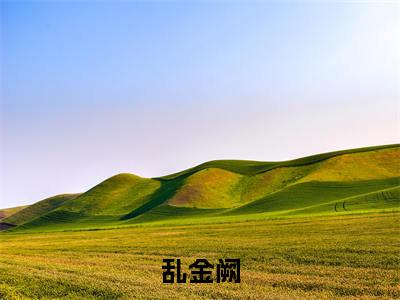 云溪萧长卿(乱金阙)小说免费阅读无弹窗_(云溪萧长卿)最新章节列表笔趣阁(云溪萧长卿)