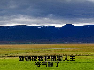 姜凝儿秦君夜(新婚夜我把植物人王爷气醒了)在线阅读小说全文无删减-新婚夜我把植物人王爷气醒了小说大结局