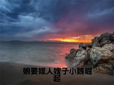 娘要嫁人嫂子小魏崛起(魏淑清赵大虎)小说全文免费阅读无弹窗大结局_娘要嫁人嫂子小魏崛起小说免费阅读最新章节列表笔趣阁(魏淑清赵大虎)