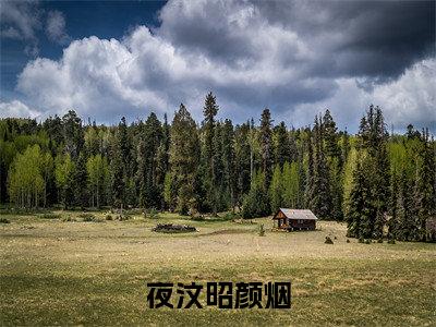 颜烟夜汶昭(夜汶昭颜烟)免费小说-(夜汶昭颜烟)完结版在线阅读
