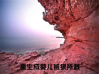 （苏月肖寒）全文免费阅读无弹窗大结局_重生成婴儿被狼所救完整版最新阅读_笔趣阁（苏月肖寒）