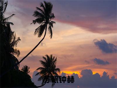 钟赫苏眠(苏眠钟赫)全文免费阅读无弹窗大结局_(钟赫苏眠阅读无弹窗)苏眠钟赫最新章节列表