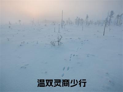 温双灵商少行(商少行温双灵)全文完整版免费阅读_温双灵商少行最新章节列表_笔趣阁(商少行温双灵)