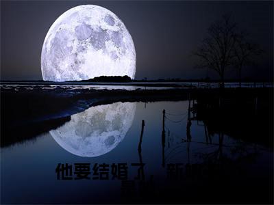 他要结婚了,新娘不是她(童轻柠沈彦庭)小说全文免费阅读-他要结婚了,新娘不是她(童轻柠沈彦庭)免费在线阅读完整版