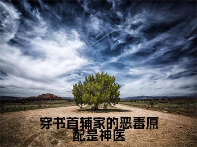 叶浅浅苏墨阳全文（穿书首辅家的恶毒原配是神医）全文免费阅读无弹窗大结局_叶浅浅苏墨阳免费最新章节列表_笔趣阁（穿书首辅家的恶毒原配是神医）