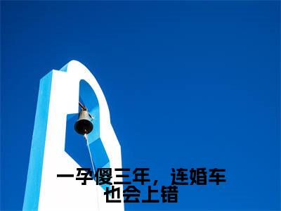 (一孕傻三年,连婚车也会上错抖音小说)盛誉时颖小说全文阅读免费