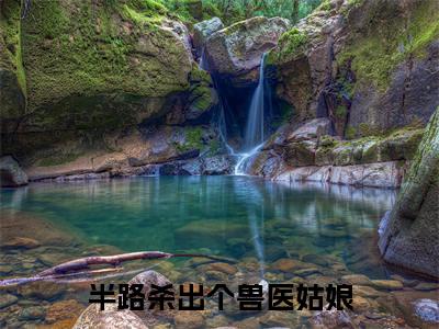 半路杀出个兽医姑娘小说全文免费阅读无弹窗大结局_(半路杀出个兽医姑娘全文免费阅读)蓝晴冯晨最新章节列表笔趣阁