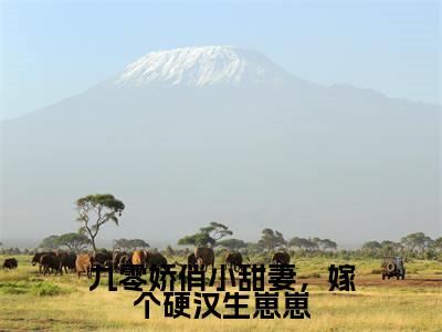 九零娇俏小甜妻,嫁个硬汉生崽崽(程紫谢辞)全文免费阅读大结局_(程紫谢辞免费阅读)九零娇俏小甜妻,嫁个硬汉生崽崽全文在线完本阅读