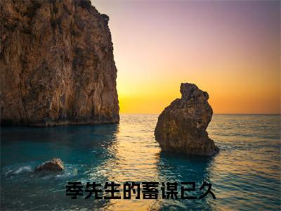 季先生的蓄谋已久(季宴礼方清芷)全文免费阅读无弹窗大结局_季先生的蓄谋已久_笔趣阁