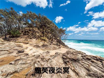 霜芙夜炎冥（夜炎冥霜芙）免费小说-霜芙夜炎冥小说完整版阅读