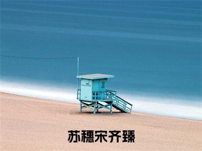 宋齐臻苏穗（苏穗宋齐臻）全文免费阅读无弹窗大结局_宋齐臻苏穗小说全文大结局