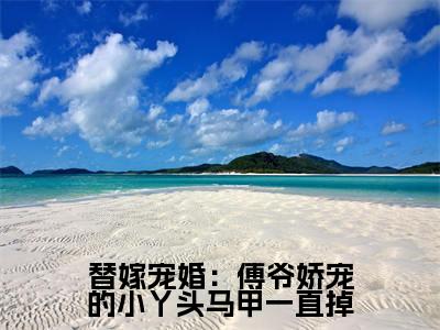 替嫁宠婚:傅爷娇宠的小丫头马甲一直掉全文免费阅读无弹窗大结局-替嫁宠婚:傅爷娇宠的小丫头马甲一直掉墨霆白浅全文全章节免费阅读