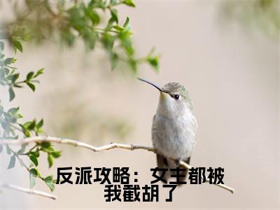江无涯小说在哪里可以看反派攻略:女主都被我截胡了-小说《反派攻略:女主都被我截胡了》江无涯免费阅读