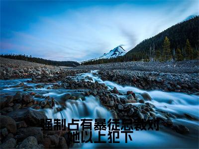 强制占有暴徒总裁对她以上犯下(徐晓薇)全文免费阅读_强制占有暴徒总裁对她以上犯下(徐晓薇)最新章节列表笔趣阁