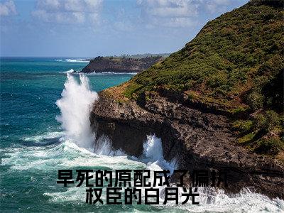 精选小说早死的原配成了偏执权臣的白月光(李月瑶苏御)全本阅读_李月瑶苏御免费阅读_笔趣阁