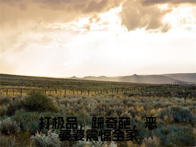 林晚凝贺云深免费小说(打极品,踩奇葩,恶婆婆震惊全家)全文免费阅读_林晚凝贺云深免费小说林晚凝贺云深小说最新章节列表笔趣阁