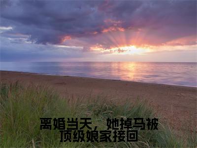 （姜璃裴御）是什么小说-离婚当天，她掉马被顶级娘家接回全文免费阅读无弹窗大结局（姜璃裴御）最新章节列表