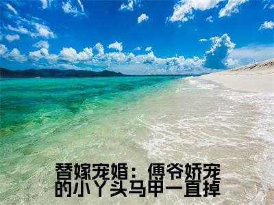 墨霆白浅(替嫁宠婚:傅爷娇宠的小丫头马甲一直掉)全文免费阅读_替嫁宠婚:傅爷娇宠的小丫头马甲一直掉(墨霆白浅)全文阅读