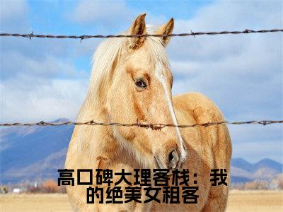 高口碑大理客栈:我的绝美女租客汪蕾陆佳全文完整版-汪蕾陆佳小说在线阅读