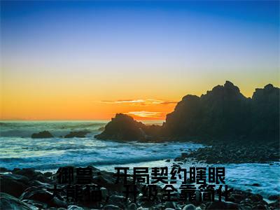小说御兽:开局契约瞎眼大熊猫,升级全靠简化免费在线阅读-小说主角叫青辰的小说完整版免费读全文