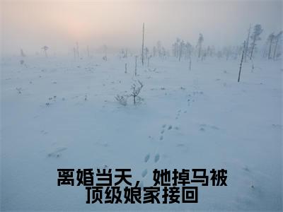离婚当天，她掉马被顶级娘家接回（姜璃裴御）小说全文免费阅读无弹窗_（姜璃裴御）离婚当天，她掉马被顶级娘家接回小说全文免费阅读最新章节列表笔趣阁