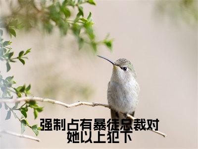 强制占有暴徒总裁对她以上犯下(徐晓薇)抖音热推小说全集无删减_(徐晓薇免费阅读全文大结局)最新章节列表_笔趣阁
