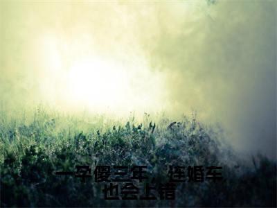 一孕傻三年,连婚车也会上错全文(盛誉时颖免费小说-完整版-一孕傻三年,连婚车也会上错在线赏析)最新章节已更新版