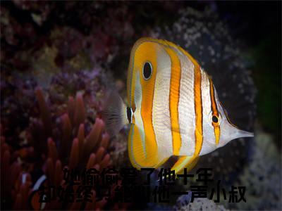 她偷偷爱了他十年,却始终只能叫他一声小叔(虞恬妤戴修璟)全文免费阅读无弹窗大结局_她偷偷爱了他十年,却始终只能叫他一声小叔最新章节列表_笔趣阁(免费+番外)