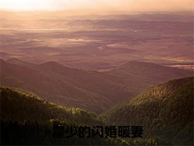霍予沉陆微言霍少的闪婚暖妻全文免费完整版，霍予沉陆微言最新章节完整版阅读