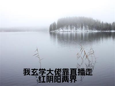 我玄学大佬靠直播走红阴阳两界小说(祝阑)全文免费阅读无弹窗大结局_(我玄学大佬靠直播走红阴阳两界)祝阑小说最新章节列表