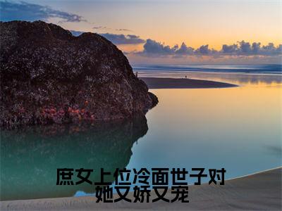 庶女上位冷面世子对她又娇又宠热门榜单小说林容婉成惘之完本小说无弹窗免费阅读