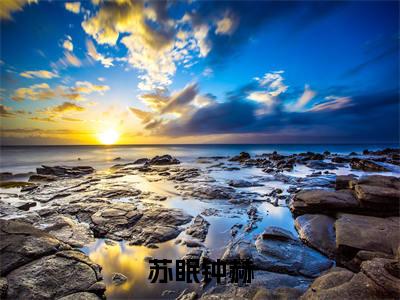 苏眠钟赫(钟赫苏眠)全文免费阅读无弹窗_苏眠钟赫(钟赫苏眠小说完整版)最新章节列表