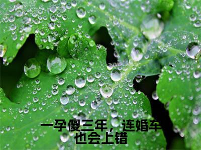 盛誉时颖热门小说在线阅读一孕傻三年，连婚车也会上错全网推荐（盛誉时颖）全文