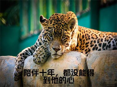 陪伴十年,都没能得到他的心(萧惟砚孟熙颜)全文免费阅读无弹窗大结局-陪伴十年,都没能得到他的心最新章节列表免费阅读